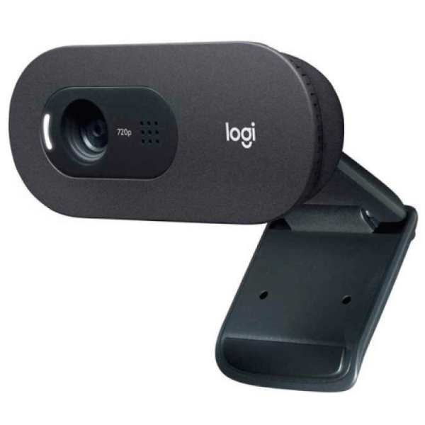 Camara Web LOGITECH C505 HD USB con Microfono