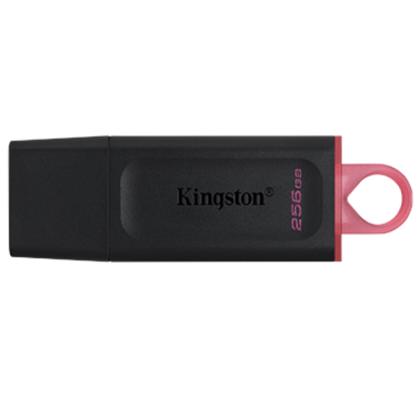 Kingston DataTraveler Exodia - Unidad flash USB - 256 GB - USB 3.2 Gen 1 - negro/rosa