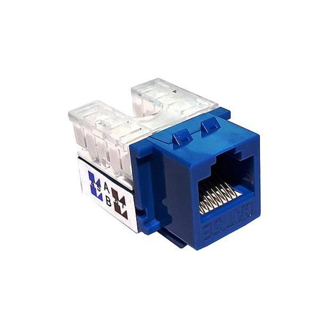 Dado RJ45 Cat. 5e LinkBasic Azul